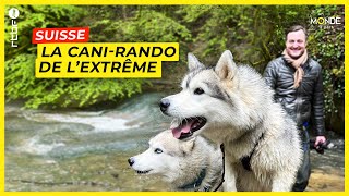 Suisse  la canirando de lextrême avec des Huskies dans le GrosdeVaud  Un Monde à part [upl. by Eirek]