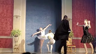 UPDATED VIDEO  SWAN LAKE Odettes Cry for Help end of act 3 [upl. by Ramin248]