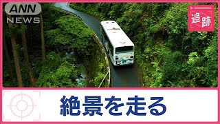 世界が注目！秘境路線バスの旅 廃線寸前が人気スポットに 運転手泣かせ“過酷道”も【Jの追跡】【スーパーJチャンネル】2024年6月15日 [upl. by Dene]