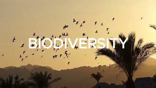 GE  STS Threats to Biodiversity and Mainstreaming Biodiversity [upl. by Iharas838]