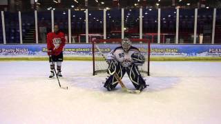 Ice Hockey Positions For Beginners  Where should you play [upl. by Airliah688]