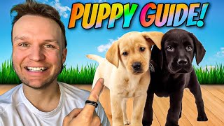 Puppy TRAINING  The FIRST 5 Things To Teach Any Puppy [upl. by Okimik]