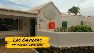 Discover the Magic of Las Gaviotas Apartments Lanzarote [upl. by Ynafetse]