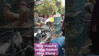 Birds and Fish shopping zone at Nayabati More Khulna Open time every Friday morning 7 to 1159 am [upl. by Welcy]