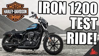 IRON 1200 Test Ride  2018 HarleyDavidson Sportster [upl. by Toinette]