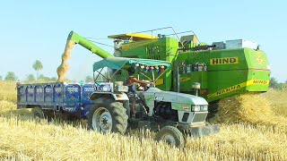 Hind 999 Harver cutting wheat crop  Eicher 485 Tractor  Massey Ferguson 241 Tractor [upl. by Roselia]