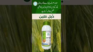 Solex cutout weedicide Solex double clean weedicide Solex chemicals multan increase wheat yield [upl. by Tella]