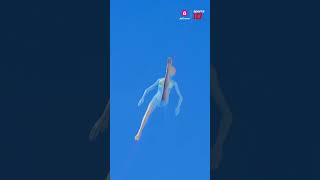 Artistic Swimming in Olympics 2024 shorts olympicsonjiocinema cheer4bharat zeeswitch [upl. by Kalin]