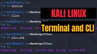 Kali Linux BasicTerminal and CLI  Linux Basic Commandlinux kalilinux [upl. by Kain]