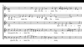 Palestrina Beatae Mariae Magdalenae  Sixteen [upl. by Reisinger]