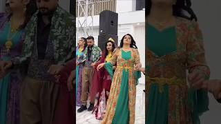 Kurdish Dance Kurdish Culture Kurdish Folklore shorts shortvideo youtubeshorts viralvideo [upl. by Etirugram]