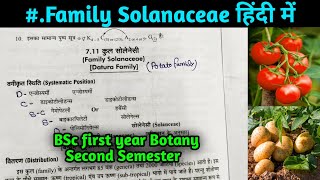 Family Solanaceae in hindi  BSc Second year Botany 3rd Semester [upl. by Messere730]