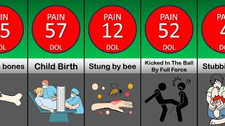 comparison human pain in doll [upl. by Intisar]