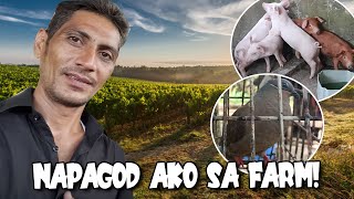 MY SECOND VLOG  NAPAGOD AKO SA FARM NI KUYA VAL [upl. by Griselda]