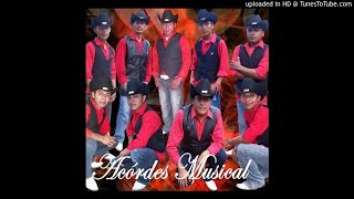 Acordes Musical El Venado [upl. by Ona]