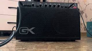 Gallien Krueger 250ML Amazing clean tone with Chorus and Echo [upl. by Linsk]