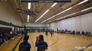 Copperheads 20241124 [upl. by Nazler]