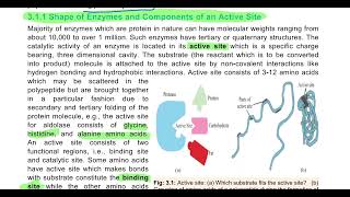 Enzyme and Enzyme Structure 11th biology enzymes Apoenzyme holoenzyme activesite [upl. by Atteynad]