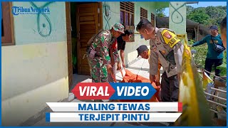 Apes Maling Tewas Ditemukan Terjepit Pintu Bekas Gedung Sekolah [upl. by Jordain]