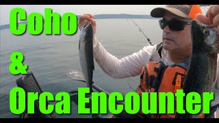 Orca Encounter Killer Whales amp Coho Fishing Whidbey Island Puget Sound Kayak Washington Seattle [upl. by Aetnahs]