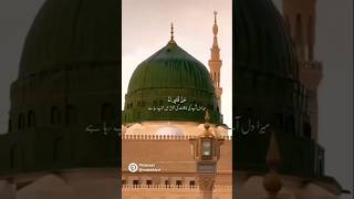 Hara gumbad Jo dekhogesong music 🥰🥰🥰shorts short 🥰🥰🥰🤲🤲👳funny video love 🥰🥰reels 🥰🥰🥰🤲 [upl. by Vannie]