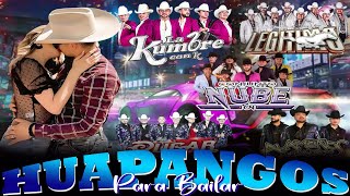 Huapangos Para Bailar mix 2024 🍻 Los Elegantes Grupo Legitimo Los Alameños Los Avila [upl. by Aletse]