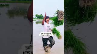 Shinda Adiwan new song jhona  short video shindaadiwal punjabimusic youtubeshorts [upl. by Qirat]