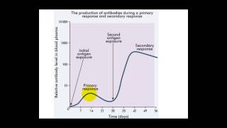 Immune Response Graph [upl. by Sinnal]