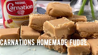 How To Make the ultimate Fudge With Condensed Milk [upl. by Tizes116]