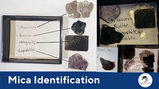 Micas Varieties in Nature  Biotite Muscovite Lepidolite Phlogopite Mica Rock forming Minerals [upl. by Atived]