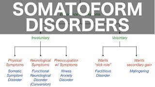 Somatoform Disorders Somatic Symptom Conversion Illness Anxiety Factitious Malingering [upl. by Nellad257]