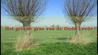 Het Groene Gras van de Oude Leede [upl. by Adiell38]