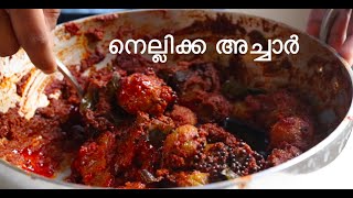 Nellikka Achar  Kerala Style Pickle Recipe  GooseberryAmla Pickle [upl. by Anabel]