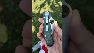 Spyderco Paramilitary 2 Green CF M4 Steel C81CFPGR2 [upl. by Kahl]