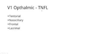 TOPIC 23 Memorize the Trigeminal nerve branches in 5 minutes [upl. by Atteuqram]