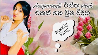 Assignment week ❤️🤭 සිංහල Vlog වැඩ වලින් පිරැණු සතියක් 💐 University of Moratuwa Fashion Design [upl. by Florenza]