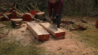 Milling Lumber From Our Alder Tree [upl. by Slorac]