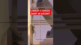 LINEUP  SOVA SHOCK DART IN ASCENT valorant valoranatgame riotgame sovalineup valorantlineup [upl. by Aidam]