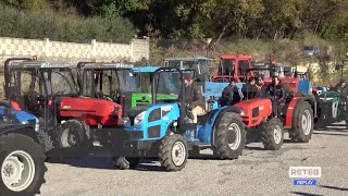 Peronospora  In Abruzzo danni per 200 mln [upl. by Esirrehc]