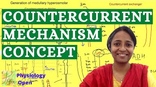 Countercurrent mechanism in kidney  Concentration of urine  Renal system Physiology mbbs 1st year [upl. by Slerahc]