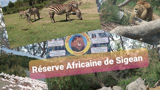 Como ha sido nuestra experiencia en la Réserve Africaine de Sigean [upl. by Aicinad970]