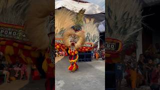 Solah pembarong reog shorts reogponorogo [upl. by Noreik446]