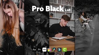 Pro Black Lut  VN Editor Black Paris lut  Moody Black lut  Black Moody lut  Black Gold lut [upl. by Nitreb]