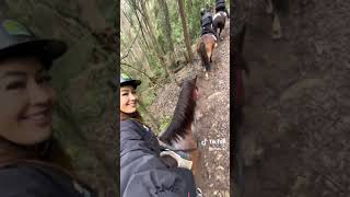 Horse Riding Adventures at Glenworth Valley [upl. by Disini]