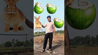 Rounding naryal Panirabbit 🐇 cat 🐈 elephant🐘 horse 🐎 animals neme VFX MAGIC videoshorts magic [upl. by Yretsym117]