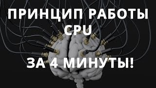 Как работает процессор просто о сложном ✌ [upl. by Inalaehak]