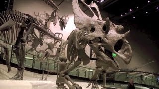 Awesome New Science Museum in Utah  Rio Tinto  Dinosaurs Minerals Natural History Video [upl. by Dagley]