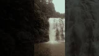 Abbey falls Madikeri  Coorg song music [upl. by Drahser563]