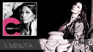 Ceca  5 minuta  Audio 2013 HD [upl. by Atelra594]