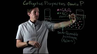 Osmotic Pressure Colligative Property  Chemistry with Dr G [upl. by Eylloh]